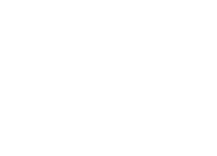 white_logo_transparent_background